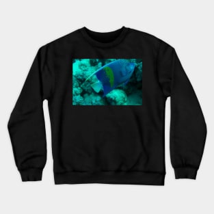 angelfish Crewneck Sweatshirt